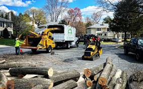 Best Pest Control for Lawns  in Racine, WI