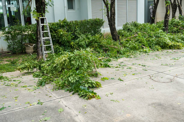 Best Arborist Consultation Services  in Racine, WI