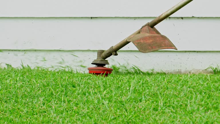 Best Tree Mulching  in Racine, WI
